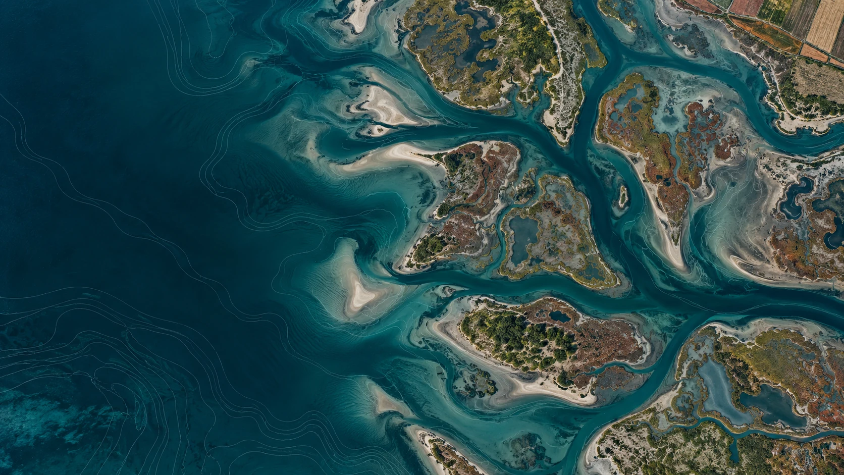 Vista satellitare di una laguna con sottili linee topografiche